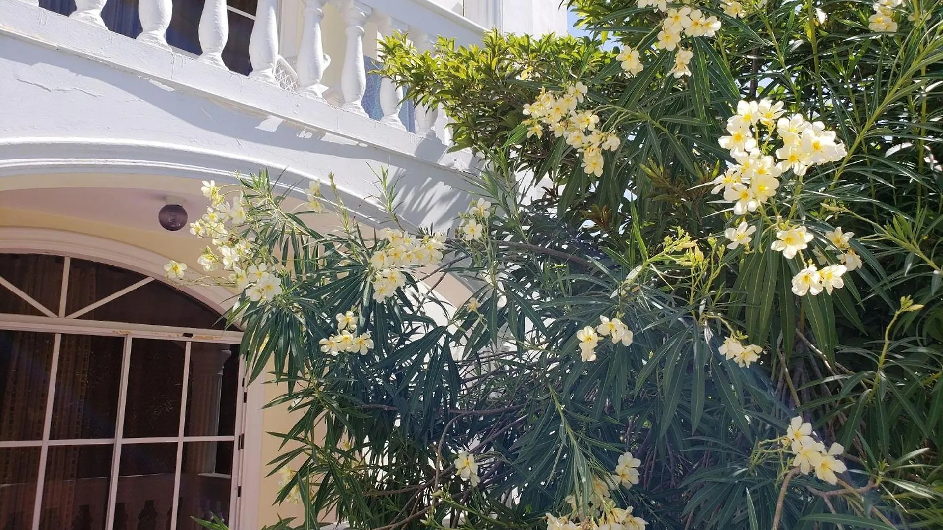 Apartment Costambar Beachfront Stay With Pool Puerto Plata